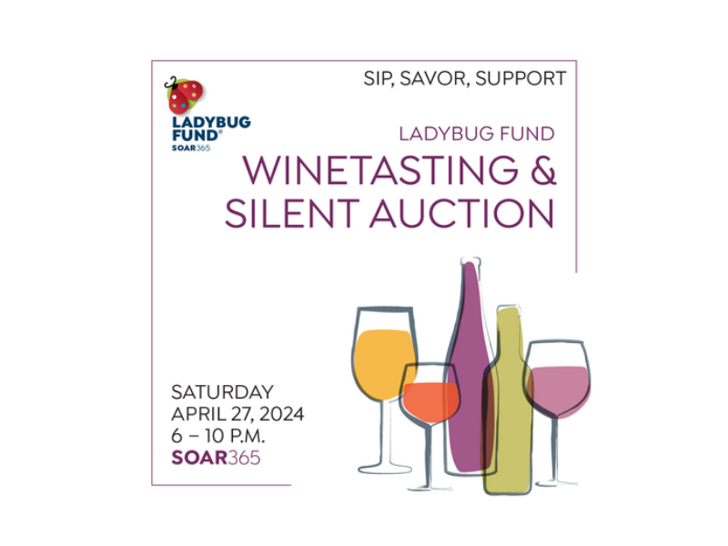 The Ladybug Silent Auction is Now Live!