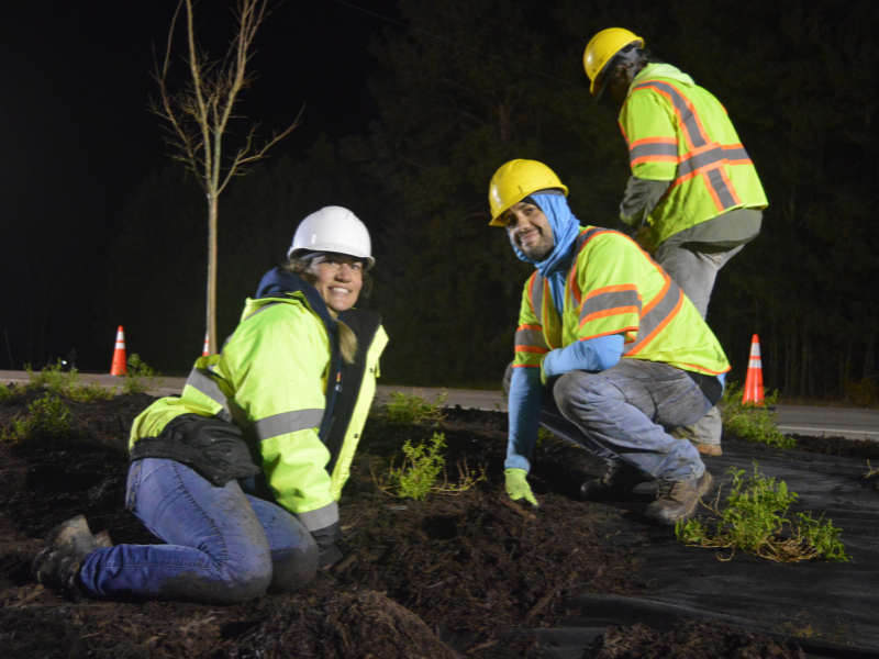 Three people in helmets and bright yellow safety vests planting plants in a median.