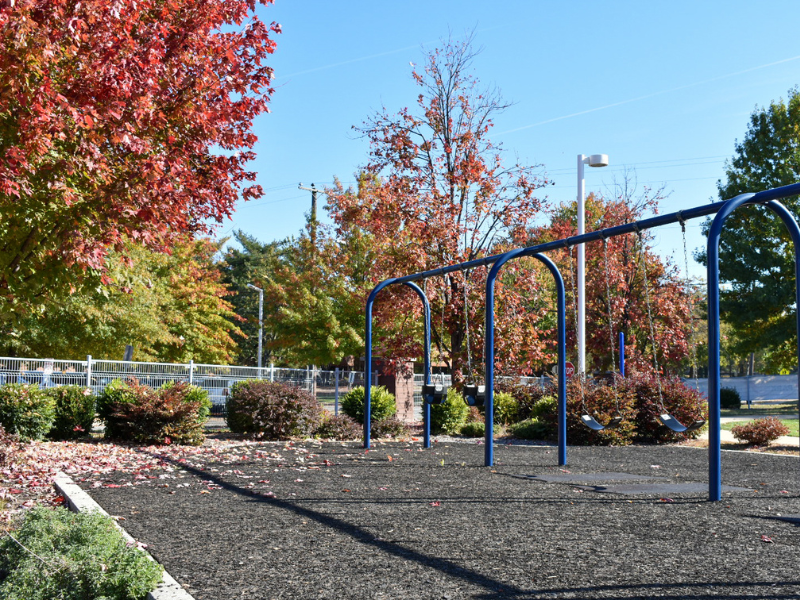 Fall PARK365 Newsletter Cover Image