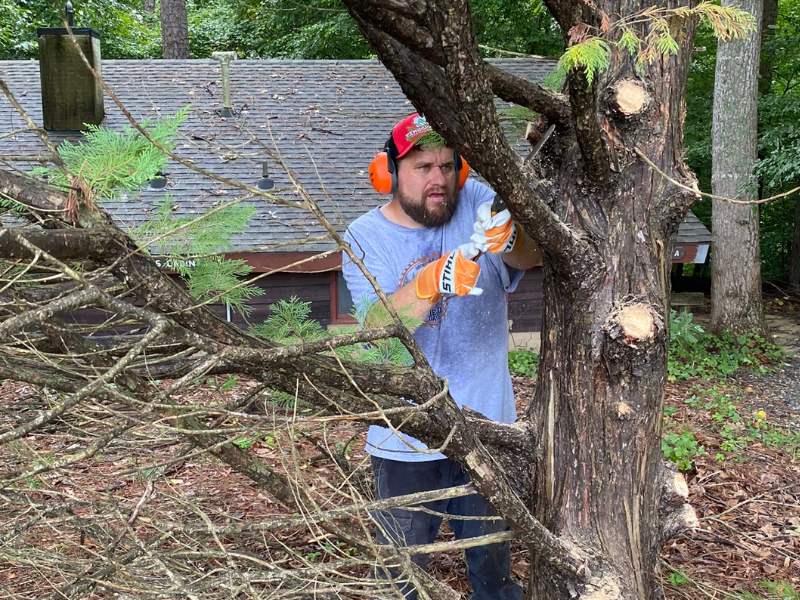 Turning Over a New Leaf: Michael’s Path to Meaningful Work