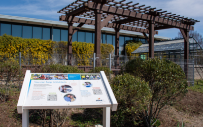 Stories from PARK365: Volunteering Roots Take Hold